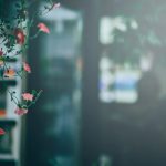 664开奖前后出现的神秘规律与惊人巧合 caohty