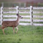 澳亚国际登录全流程指南:从注册到登录的完整步骤解析与常见问题解答 h74atc2