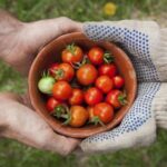 NBA免费直播极速观看:全程高清无广告流畅体验 3tgicr9h