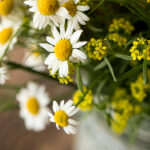 NBA免费高清直播360:在线观看精彩篮球赛事 54m07