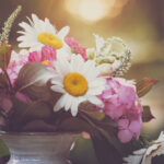 NBA互动直播观看指南:多种平台与玩法全解析 mqj21sdur